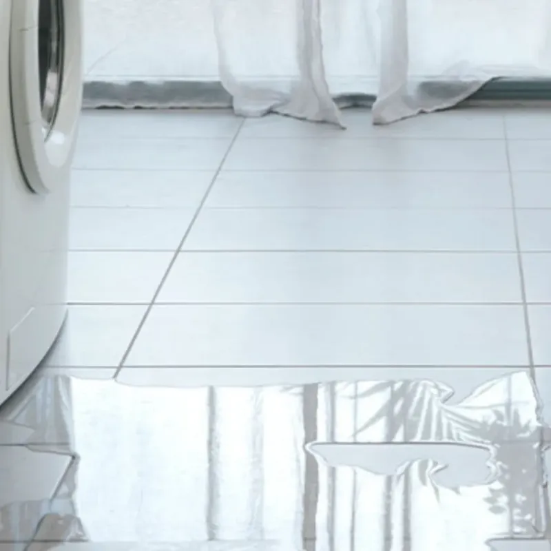 Appliance Leak Cleanup in Kernville, CA