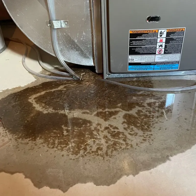 Pipe Burst and Leak Restoration in Kernville, CA
